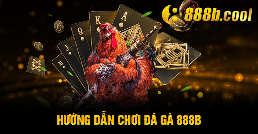 hướng dẫn chơi đá gà 888B